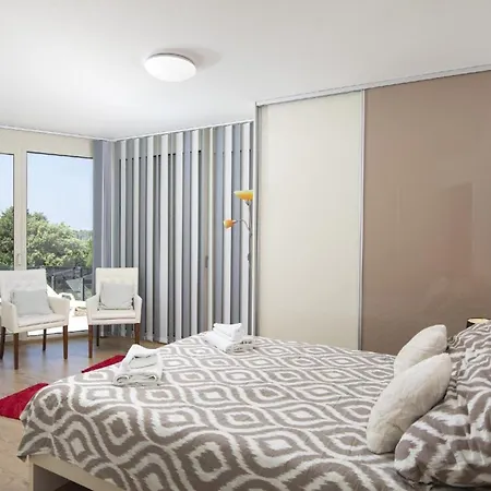 Fuer 5 Personen Und 1 Kind In Pjescana Uvala, Istrien Istrische Riviera 公寓 普耶斯察纳乌瓦拉